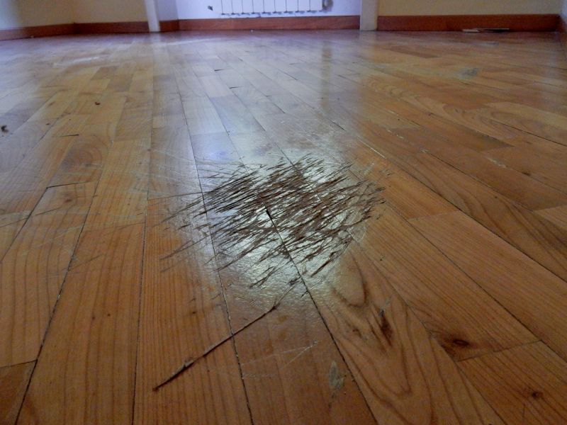 Wood Floor Scratch Repair in Louisville, CO